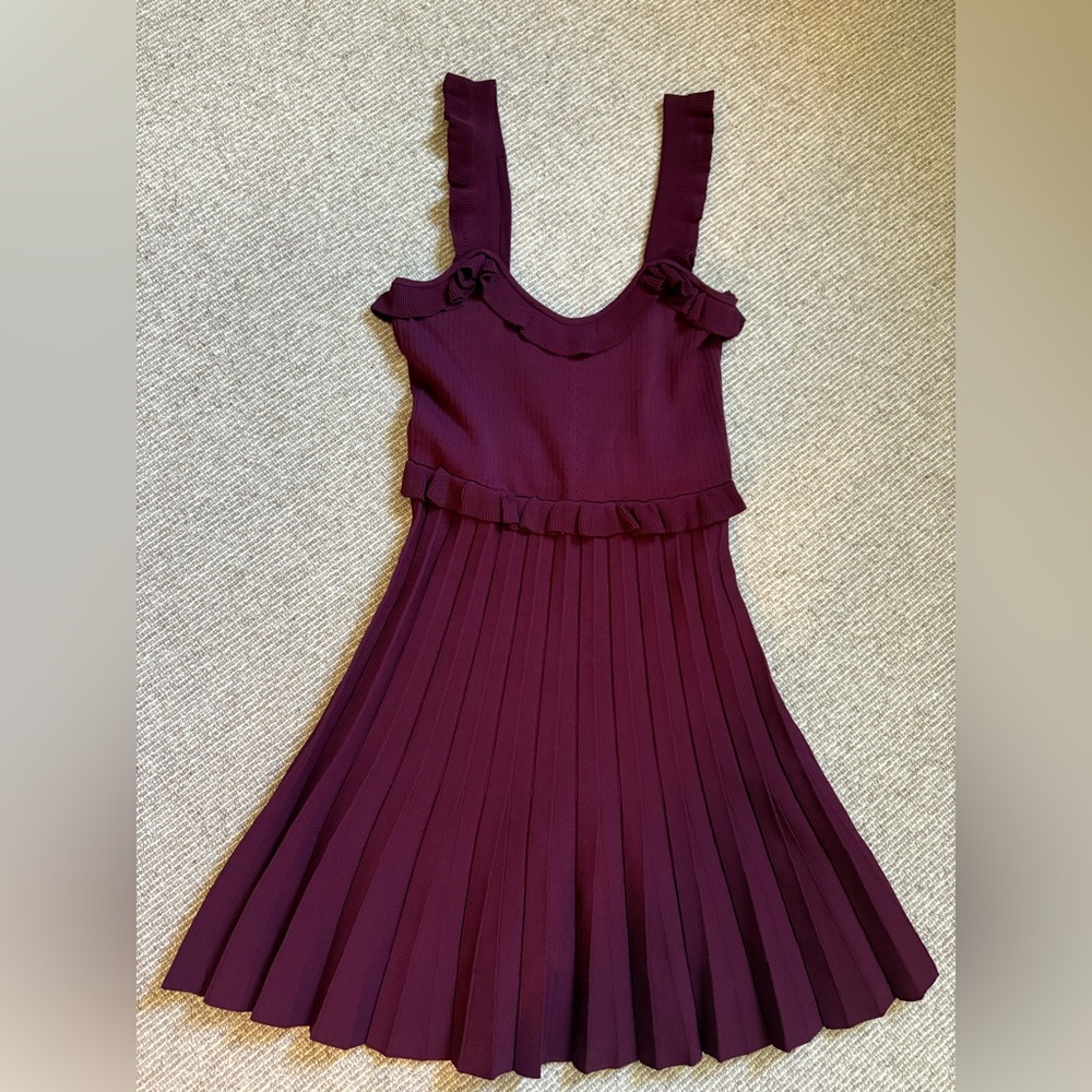 Zara Deep Burgundy mini dress